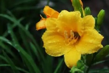 老人逝世悼词范文