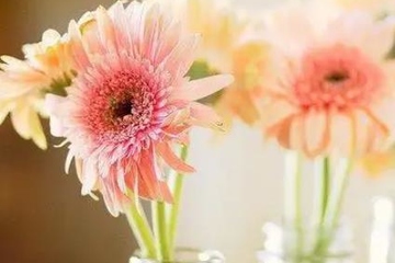 母亲忌日思念的诗句