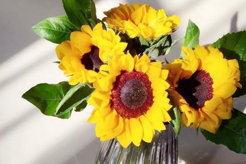 母亲忌日适合的朋友圈