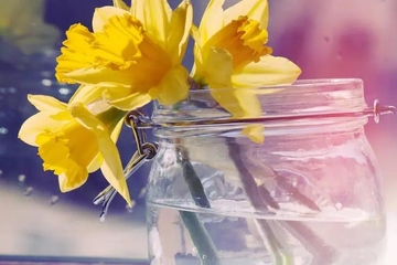 正规网上祭奠网平台免费