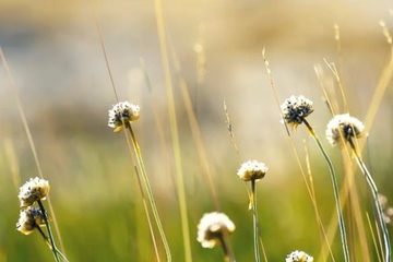 正规网上祭奠网平台免费