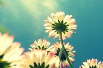 妈妈的忌日应该怎么做