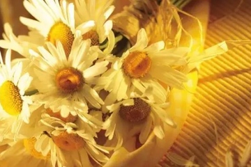 妈妈的忌日应该怎么做