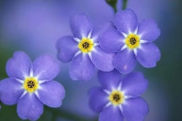 过世父亲生日要不要祭拜