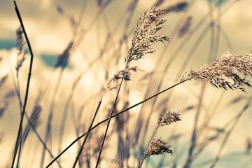 过世父亲生日要不要祭拜