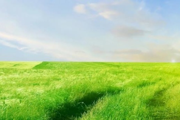 父亲忌日心碎的说说