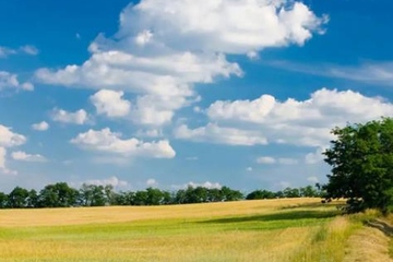 父亲忌日心碎的说说