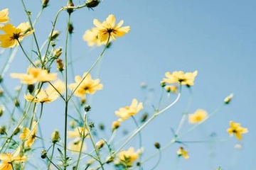 缅怀父亲忌日的一句话