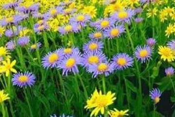 忌日是去世那天还是出殡那天