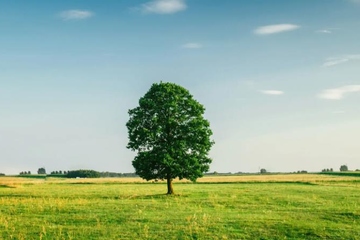 忌日是去世那天还是出殡那天