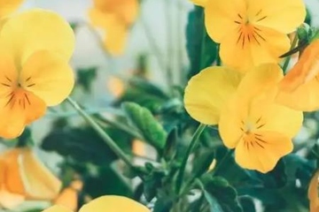 父亲忌日思念短语