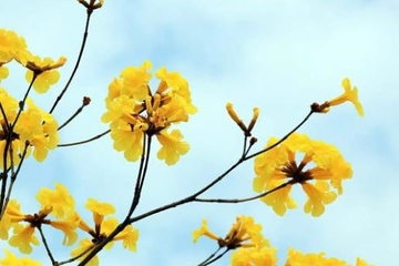 父亲忌日思念短语