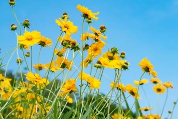 父亲忌日思念短语