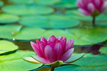 父亲忌日思念短语