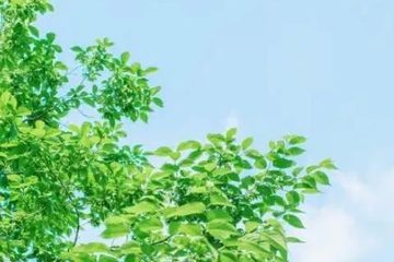 家里有人忌日怎么办,忌日要做什么