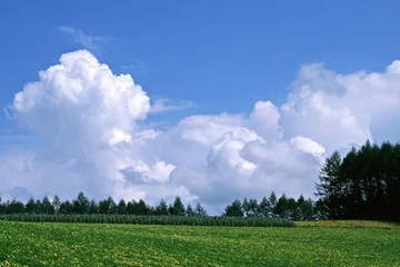 家里有人忌日怎么办,忌日要做什么