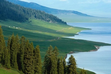 家里有人忌日怎么办,忌日要做什么