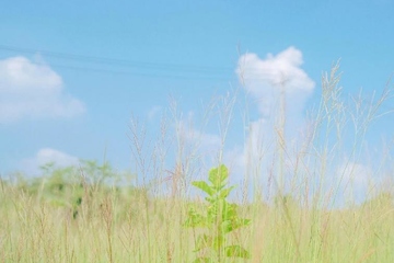 老人逝世短信通知范例