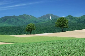 老人逝世短信通知范例