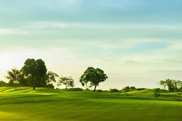 第一年死忌需要拜吗