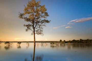 第一年死忌需要拜吗