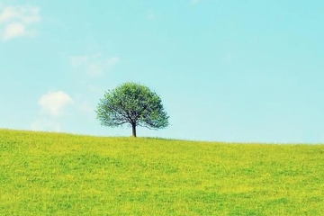 网上悼念,亲人的忌日如何悼念