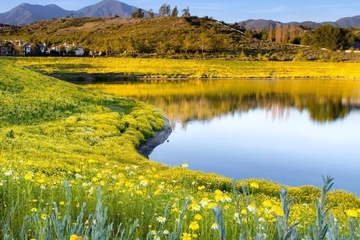 网上悼念,亲人的忌日如何悼念