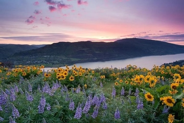 回民葬礼,回族丧葬流程