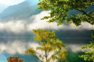 回民葬礼,回族丧葬流程