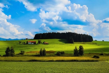 回民葬礼,回族丧葬流程