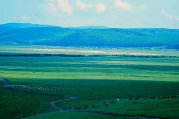 回民葬礼,回族丧葬流程