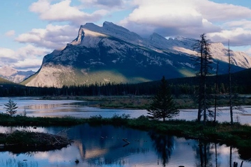 悼词怎么写,追悼会悼词怎么写