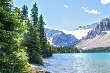 讣告范本,讣告范文大全