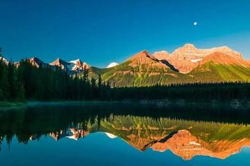 讣告范本,讣告范文大全