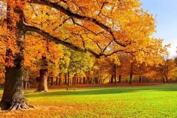 讣告范本,讣告范文大全