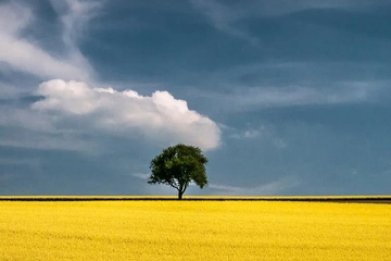 吊唁通知怎么写,吊唁通知短信大全