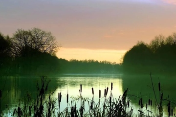 吊唁通知怎么写,吊唁通知短信大全