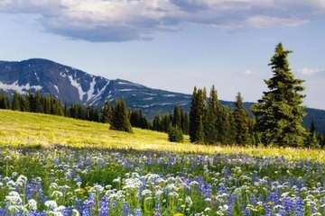 吊唁通知怎么写,吊唁通知短信大全