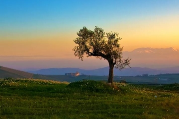 吊唁通知怎么写,吊唁通知短信大全