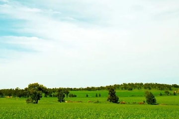 忌日要做什么,亲人忌日要做什么