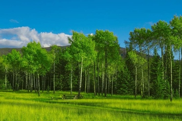 忌日要做什么,亲人忌日要做什么