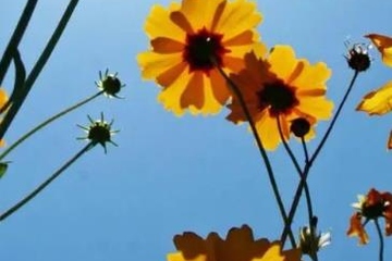 忌日要做什么,亲人忌日要做什么