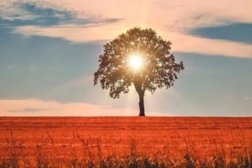 去世讣告,父亲去世的讣告