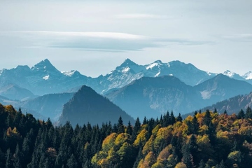 追悼会悼词,追悼会悼词范文