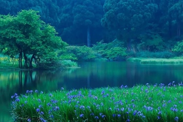 追悼会悼词,追悼会悼词范文