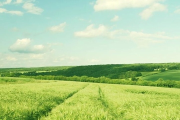 追悼会悼词,追悼会悼词范文