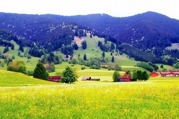 追悼会悼词,追悼会悼词范文