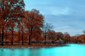 讣告格式,讣告格式怎么写