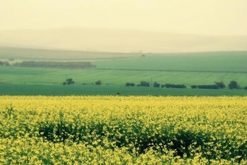 吊唁的意思,吊唁是什么意思