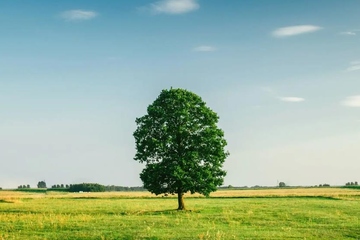 吊唁的意思,吊唁是什么意思